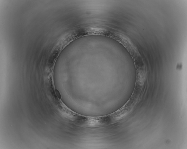 X0000091290701200708101246