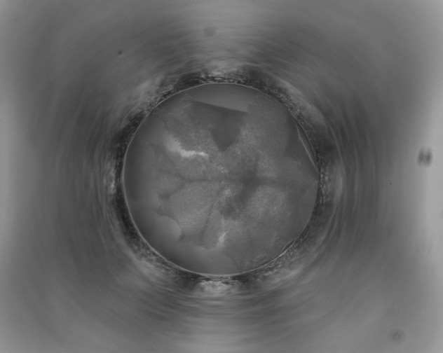 X0000091290703200708101246