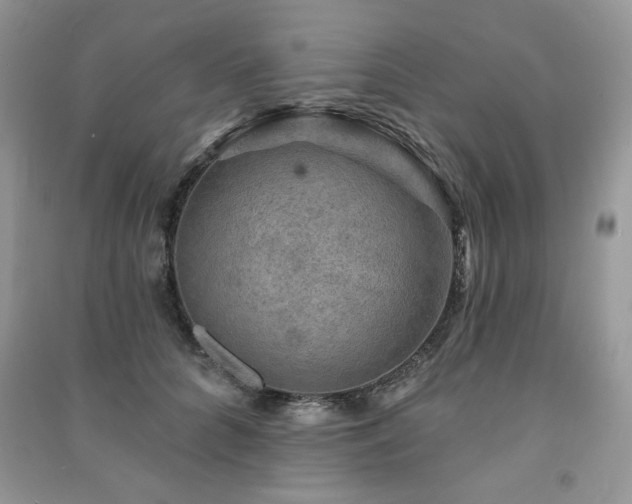 X0000091290704200708101246