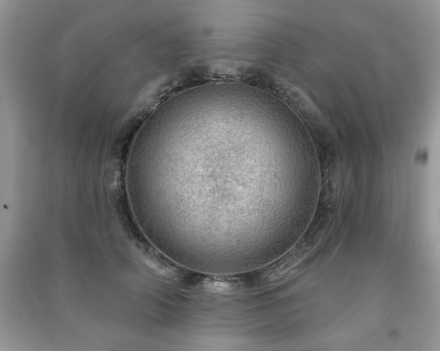 X0000091290706200708101246