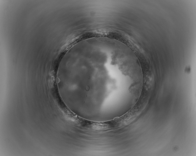 X0000091290707200708101246