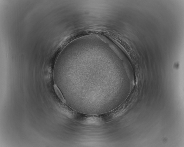 X0000091290708200708101246