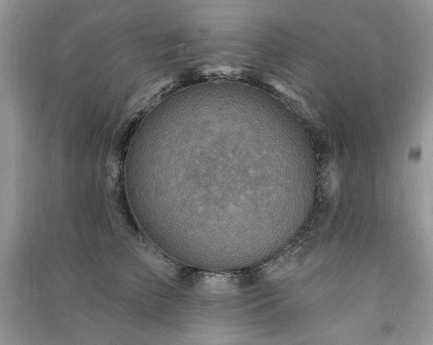 X0000091290709200708101246