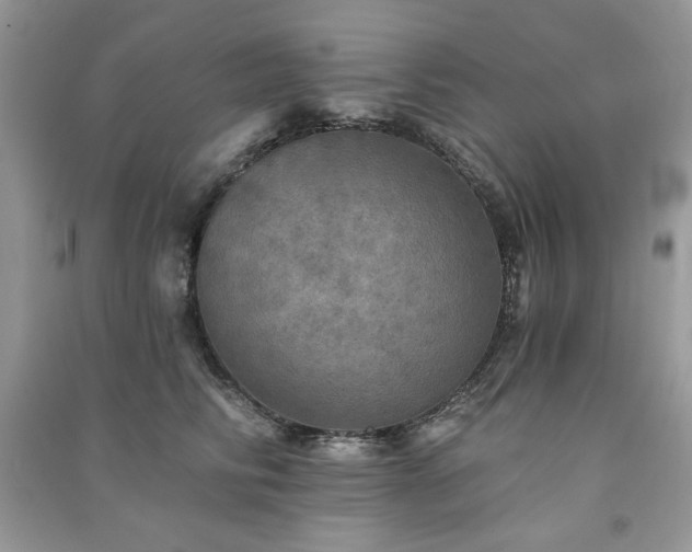 X0000091290710200708101246