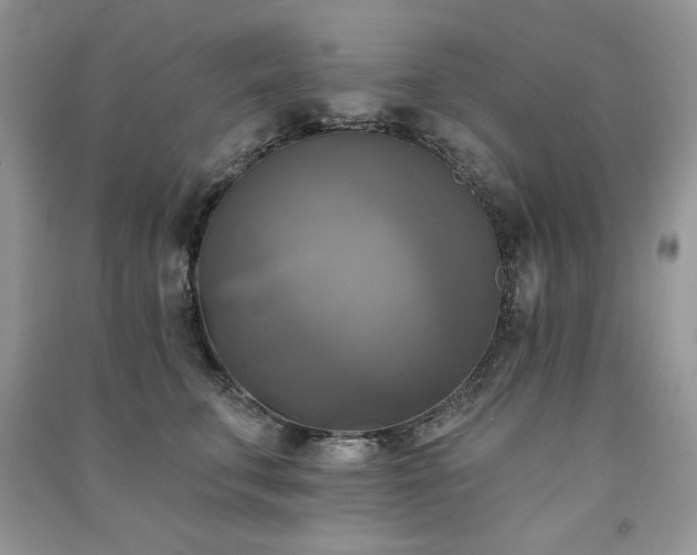 X0000091290711200708101246