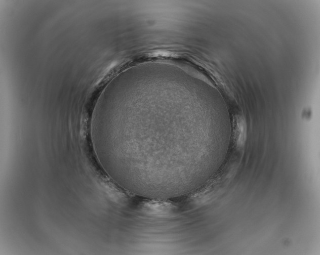 X0000091290712200708101246