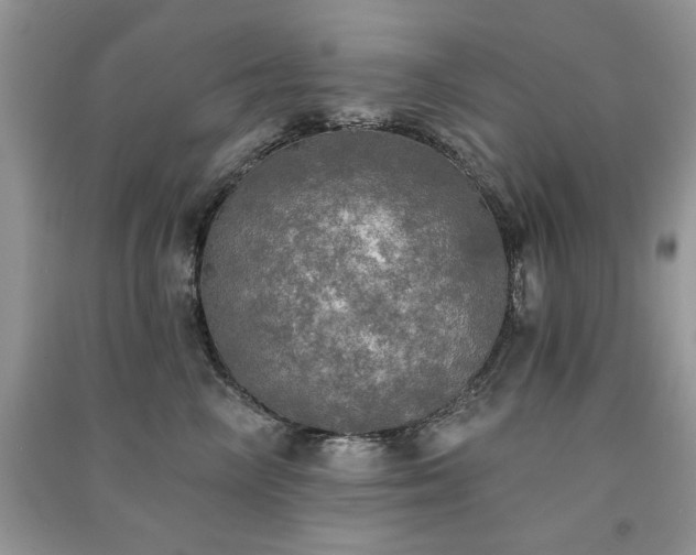 X0000091290714200708101246