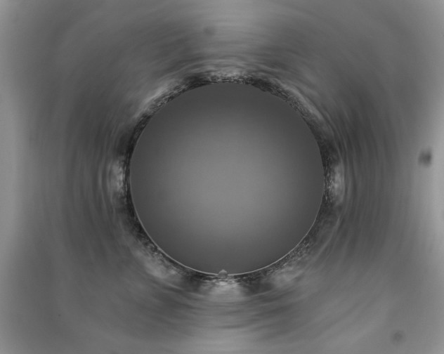 X0000091290715200708101246