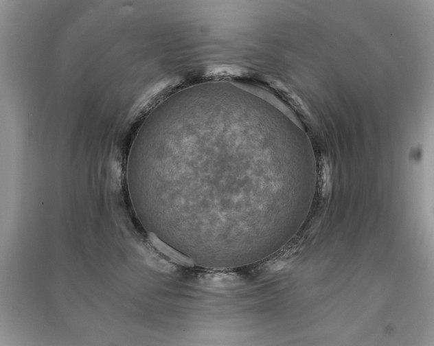 X0000091290716200708101246