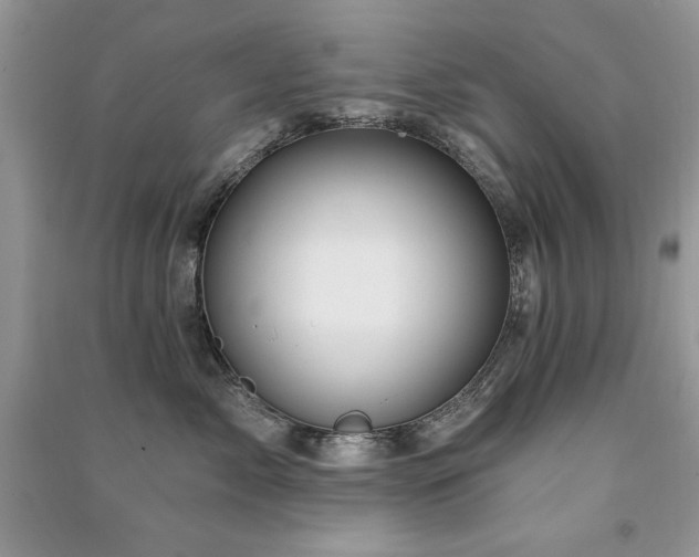 X0000091290717200708101246