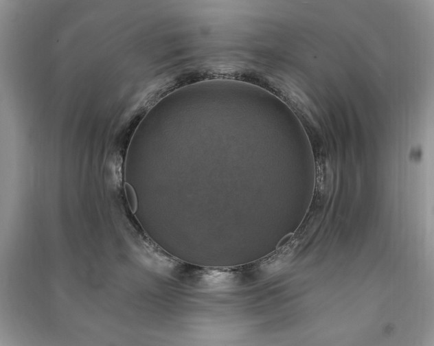 X0000091290718200708101246