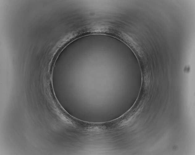 X0000091290721200708101245