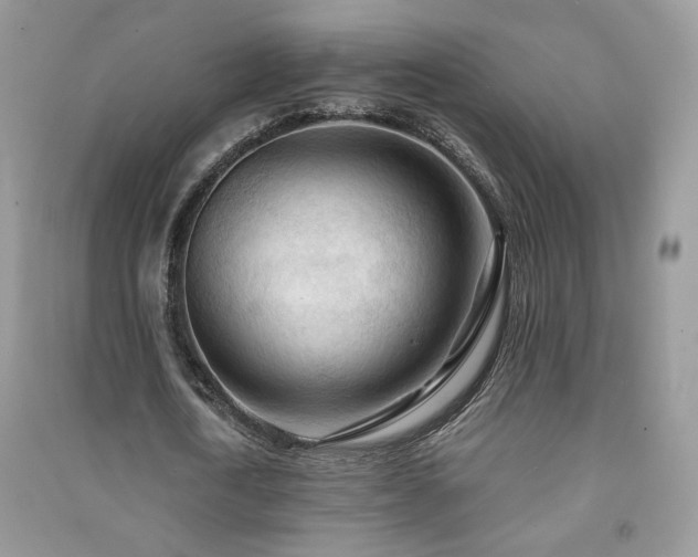 X0000091290722200708101245