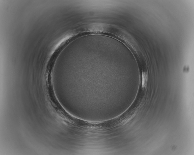 X0000091290723200708101245