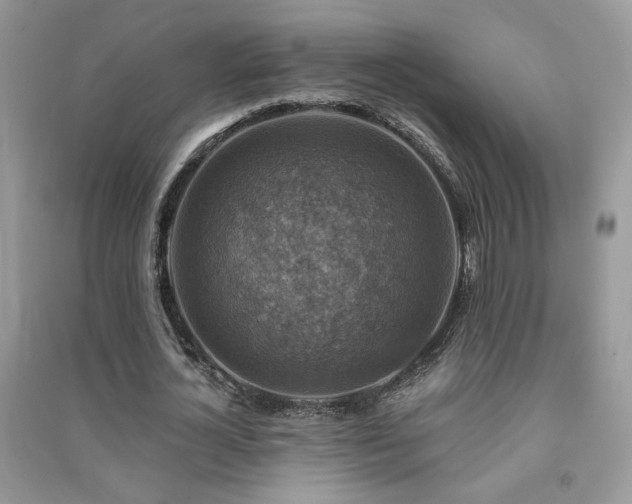 X0000091290724200708101245