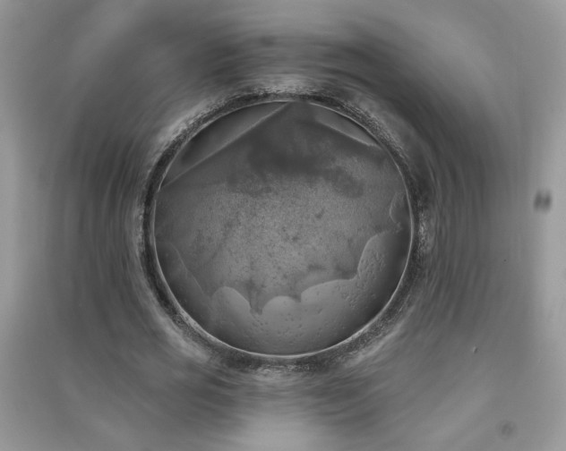 X0000091290725200708101245