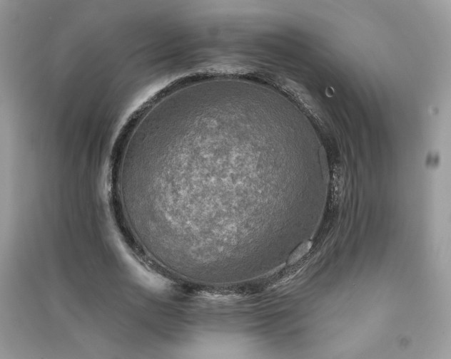 X0000091290726200708101245