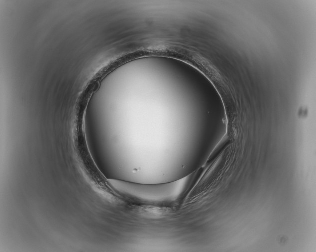 X0000091290728200708101245