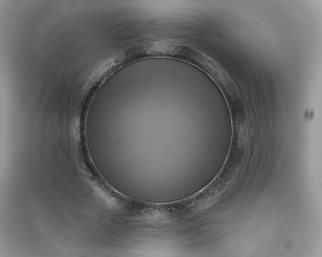 X0000091290729200708101245