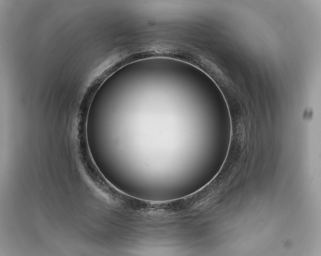 X0000091290730200708101245