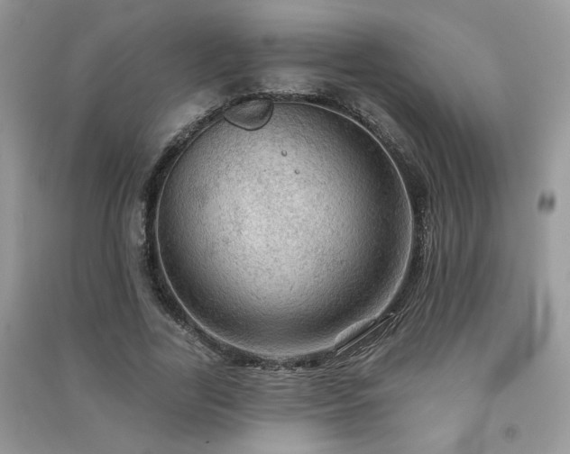 X0000091290731200708101245