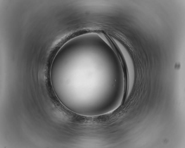 X0000091290732200708101245