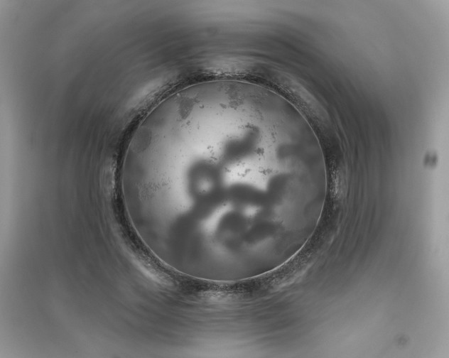 X0000091290733200708101245