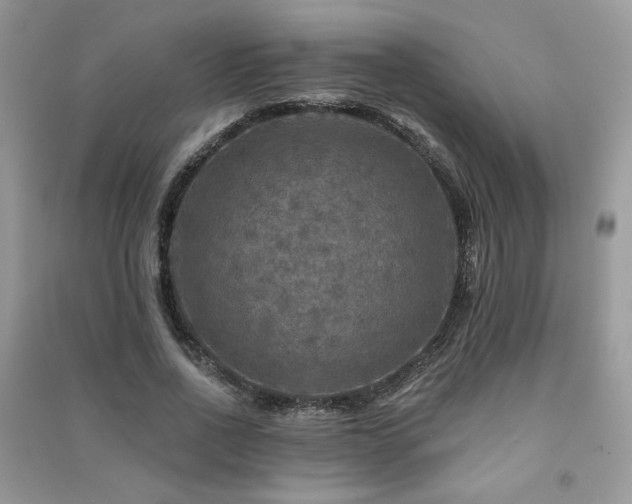 X0000091290734200708101245