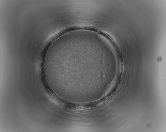 X0000091290736200708101246