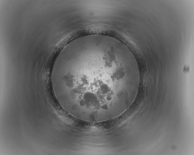 X0000091290737200708101246