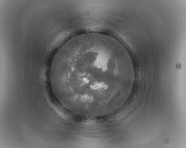 X0000091290738200708101246