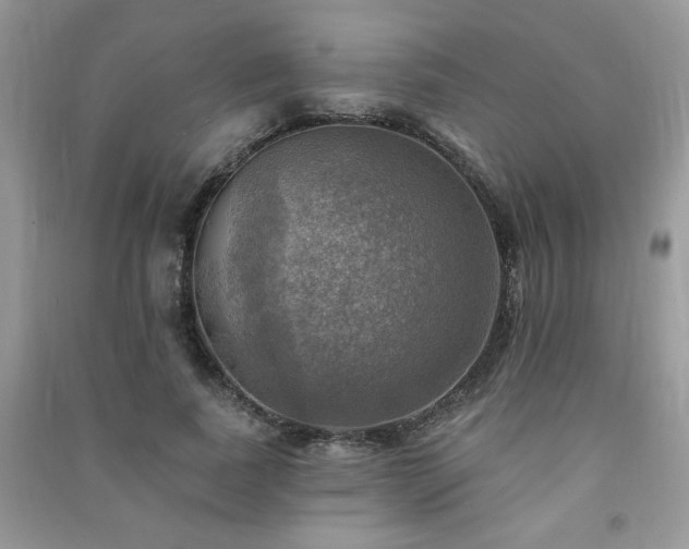 X0000091290739200708101246