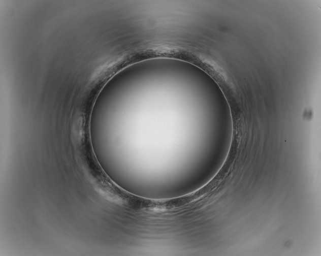 X0000091290740200708101246