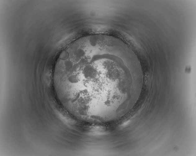 X0000091290741200708101246