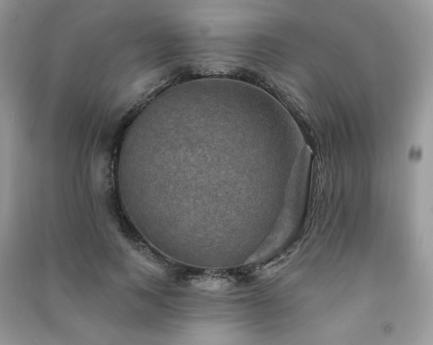 X0000091290743200708101246