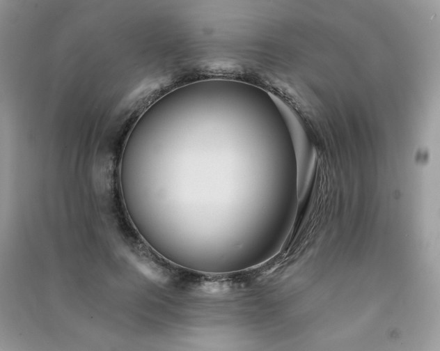 X0000091290744200708101246