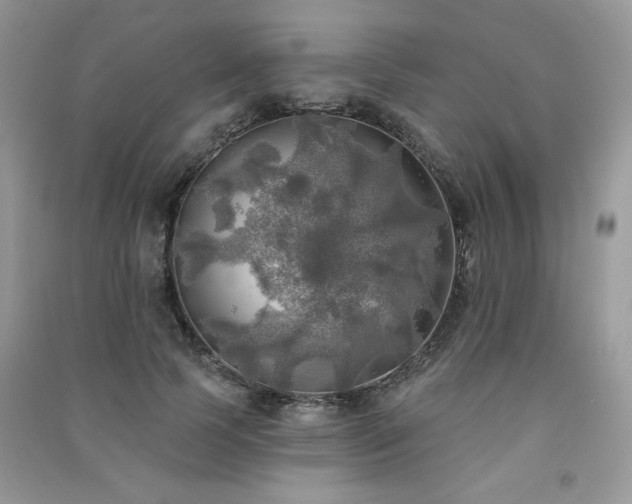 X0000091290745200708101246