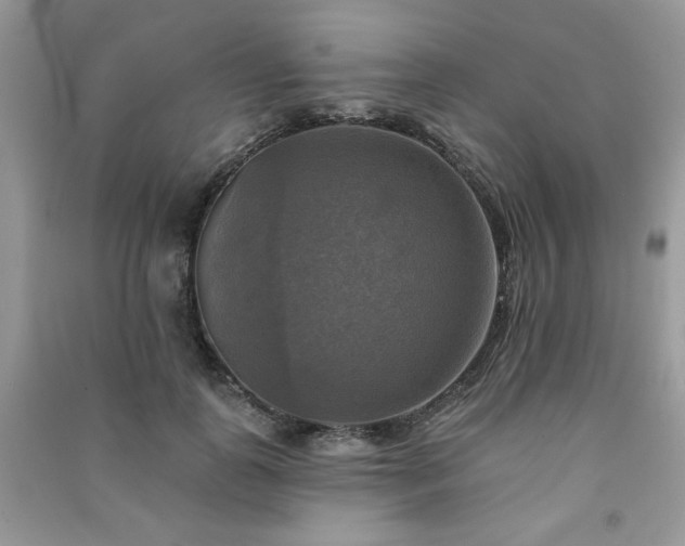 X0000091290747200708101246