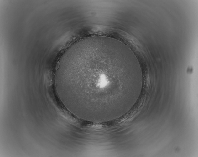 X0000091290751200708101246