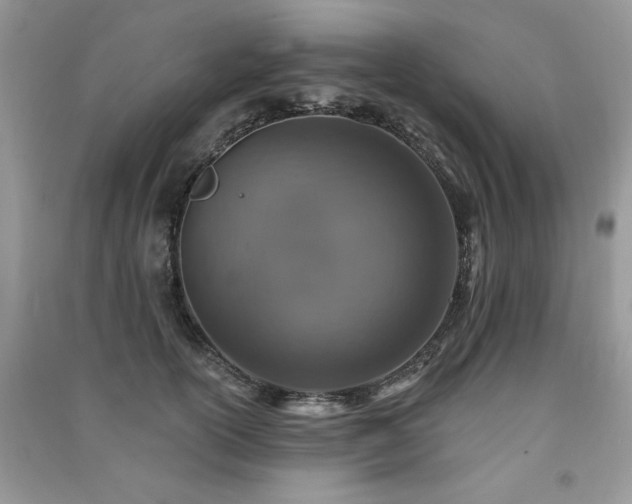 X0000091290754200708101246