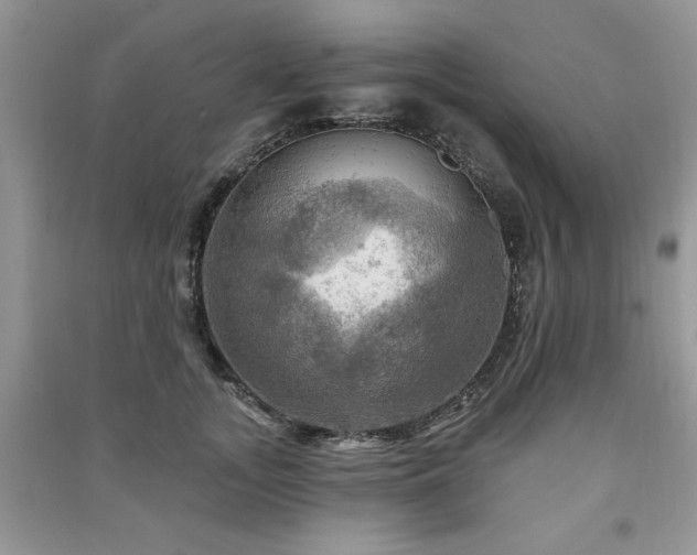 X0000091290755200708101246