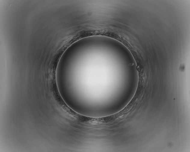 X0000091290756200708101246