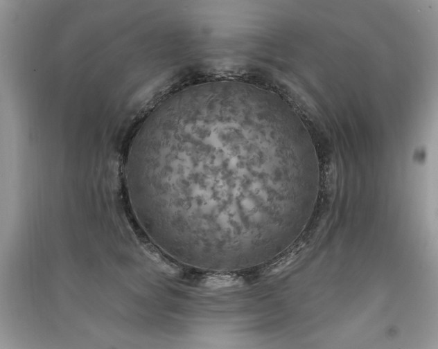 X0000091290757200708101246