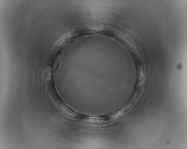 X0000091290758200708101246