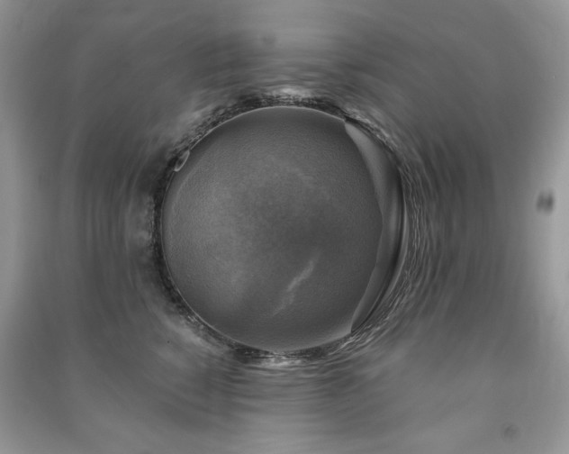 X0000091290760200708101246