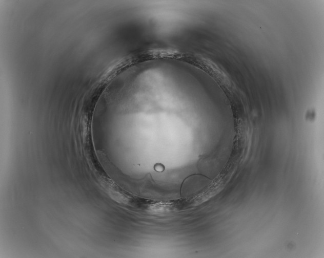 X0000091290761200708101246