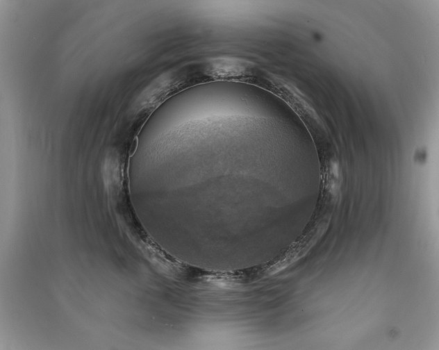 X0000091290763200708101246