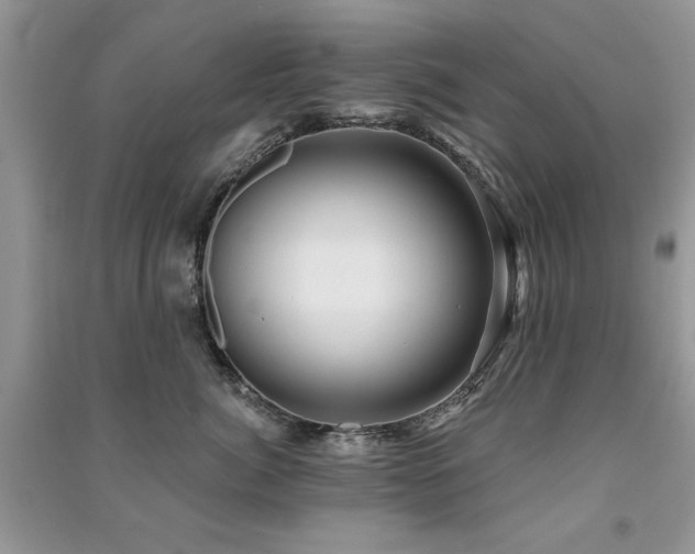 X0000091290764200708101246