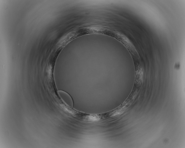 X0000091290765200708101246