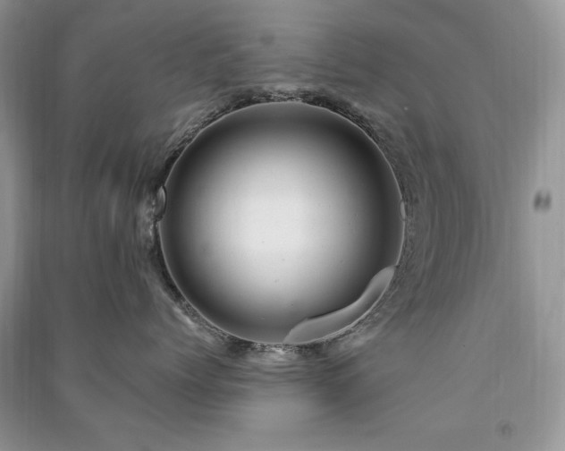 X0000091290768200708101246